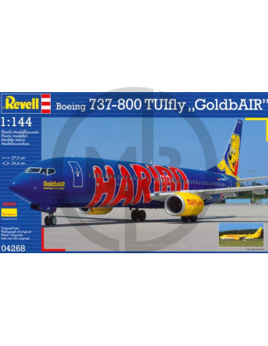 Boeing 737-800 Tuifly Goldbair