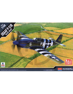 North American P-51B Blue Nose 70th Anniversary Normandy Invasion
