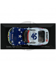 Dodge Viper GTS-R 24h Daytona 2002 2