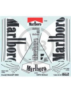 Ducati Desmosedici MotoGp 2003