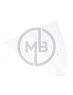 Cupolino Ducati 1199 Panigale S