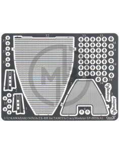 Kawasaki ZX-RR (simplified version) 2