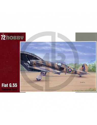 Fiat G.55 captured flats