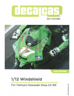 Cupolino Kawasaki Ninja ZX-RR 2