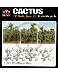 Cactus 2