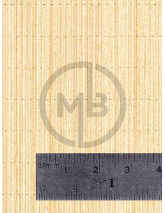 Ponte in legno generico foglio A (1/700)