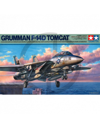 Grumman F14-D Tomcat