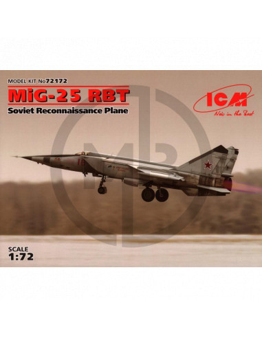 MiG-25 RBT Soviet reconnaissance plane