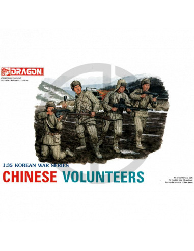 Chinese volunteers