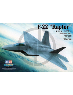 F-22 Raptor
