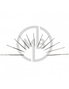 Serie 12 pezzi micro lime da 10cm