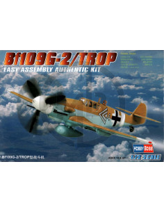 BF109G-2/trop