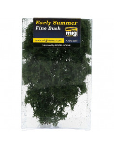 Early summer fine bush