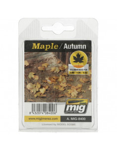 Foglie di acero autunnali