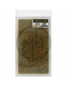 Tappeto erboso autunno