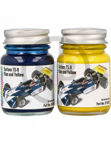 Surtees TS-9 Blue/Yellow