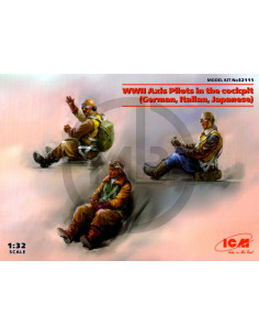 WWII axis pilot (German,Italian, Japanese)