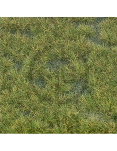 Turft light green 2