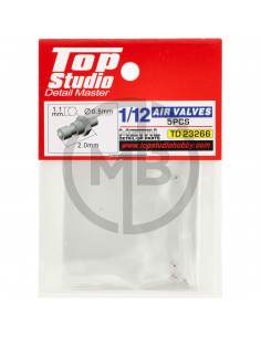 Air valves 1/12