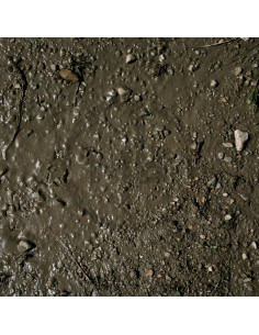 Terrains Wet Ground 2