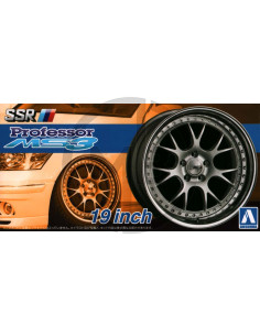 SSR Professor MS3 19