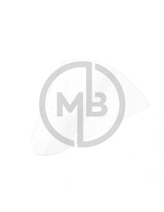 Cupolino Kawasaki Ninja H2R