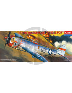 P-47D Thunderbolt Bubble Top