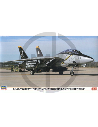 F-14B Tomcat VF-103 Jolly Rogers Last Flight 2004