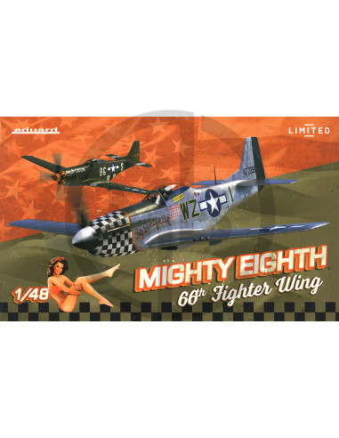 MIGHTY EIGHTH: 66th Fighter Wing