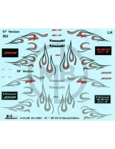 Fiamme Kawasaki ZX-14 2007/2008