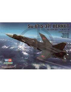 SU-47 (S-37) Berkut