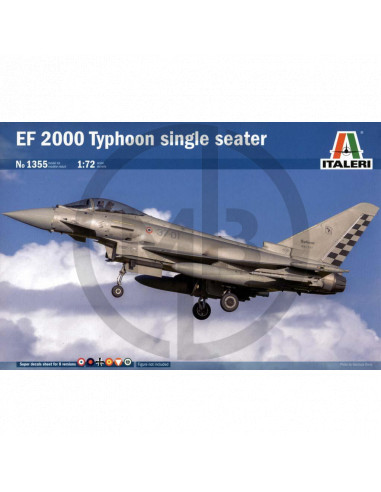 EF 2000 Typhonn single seater