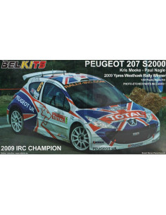 Peugeot 207 S2000 2009