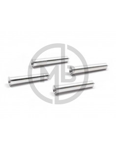 Terminali di scarico Ferrari 250TR